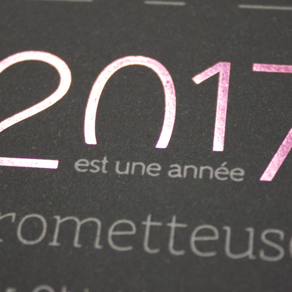 Création d'une carte de Vœux 2017 pour ObjetDomotique