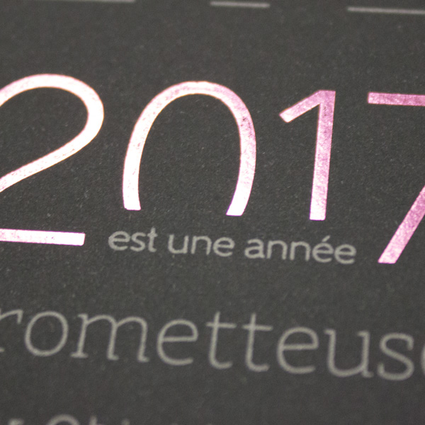 Création d'une carte de Vœux 2017 pour ObjetDomotique